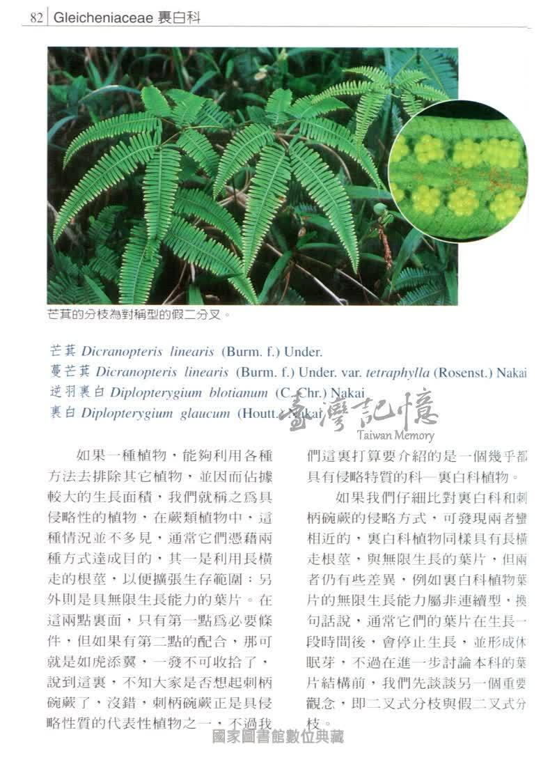 臺灣記憶taiwan Memory