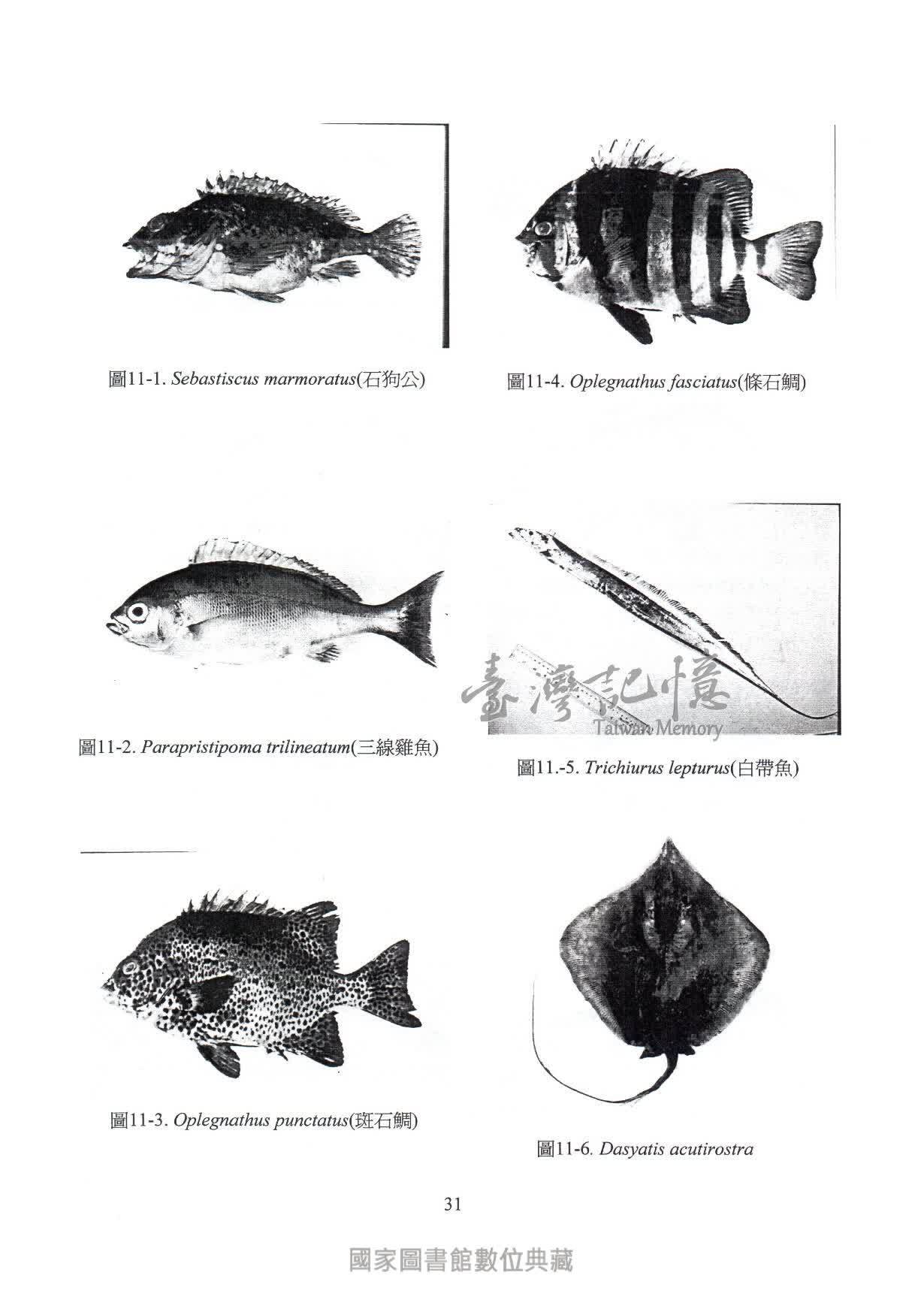 臺灣記憶taiwan Memory