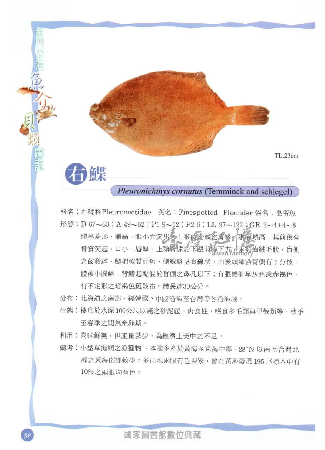 臺灣記憶taiwan Memory