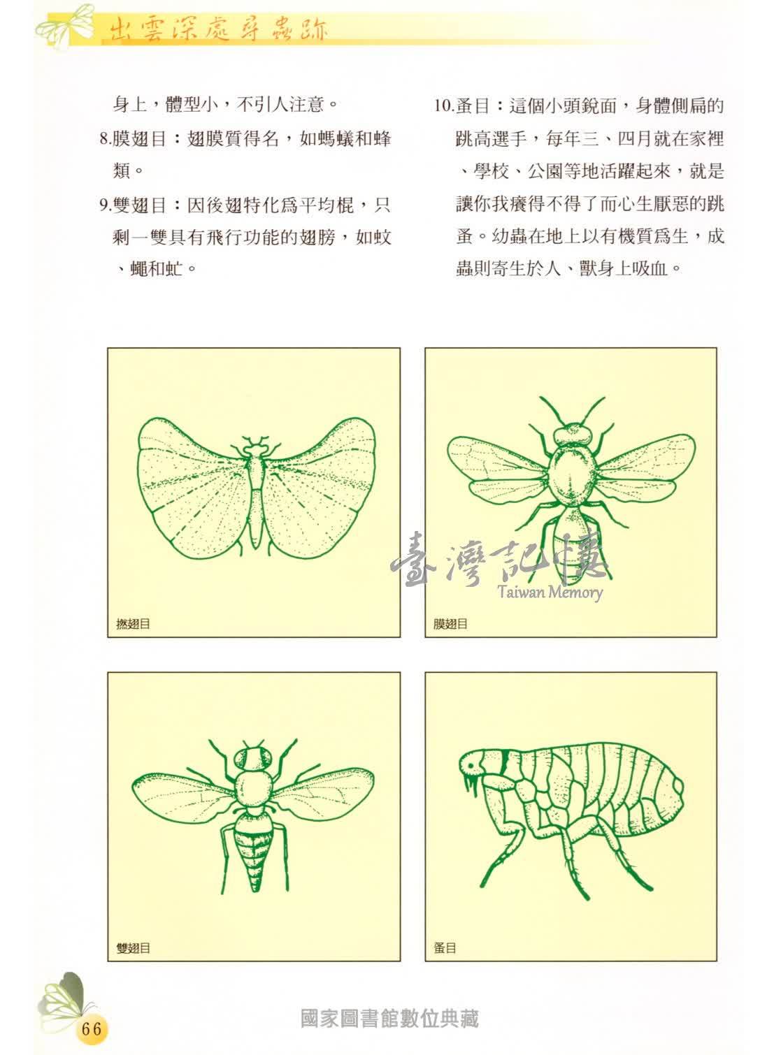 臺灣記憶taiwan Memory